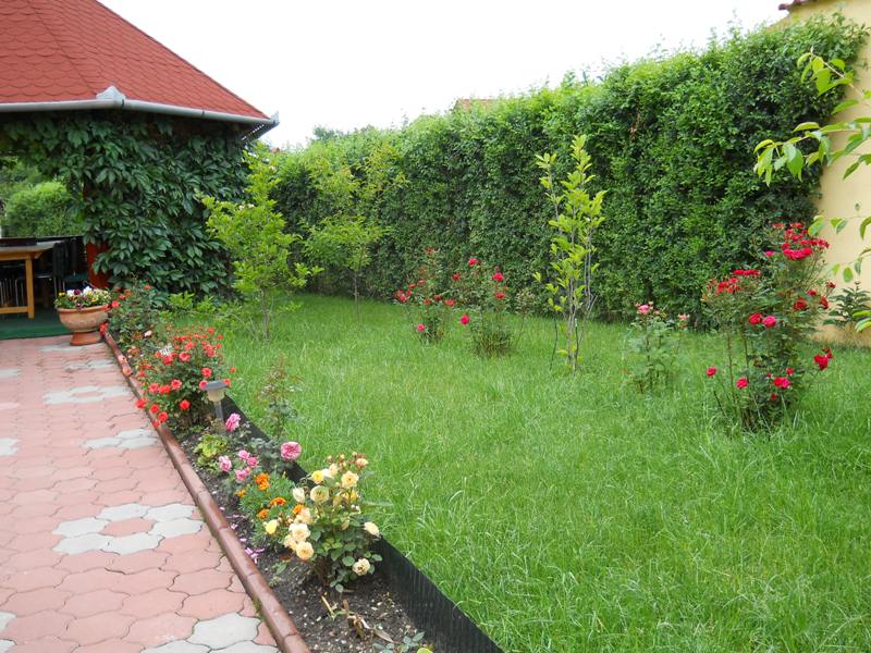 cazare pensiunea magnolia sibiu 026